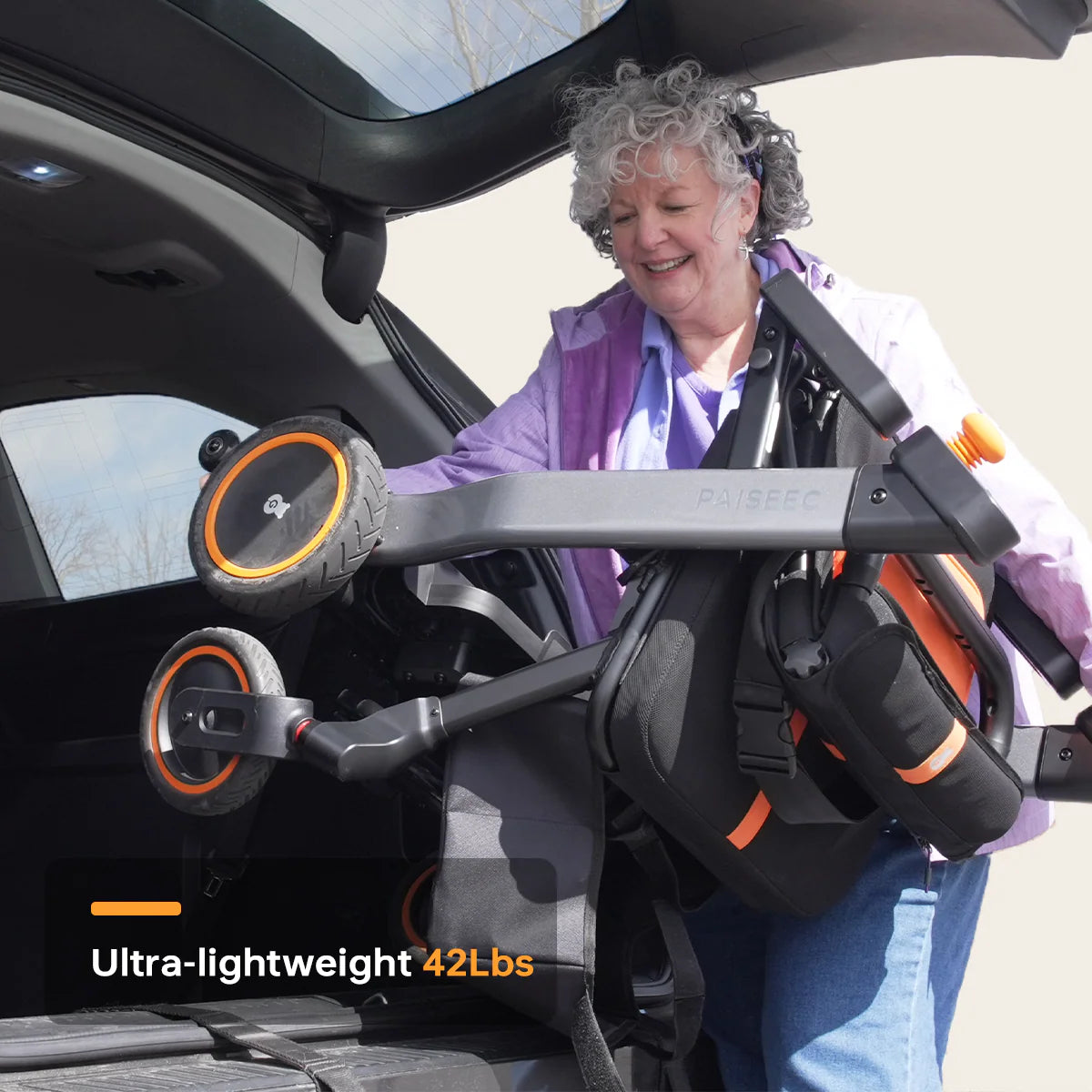 Paiseec 2-in-1 Electric Wheelchair W1