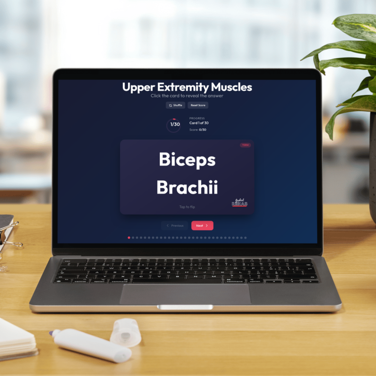 Lower Extremity Anatomy Flashcards